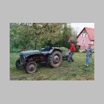 foin4.jpg